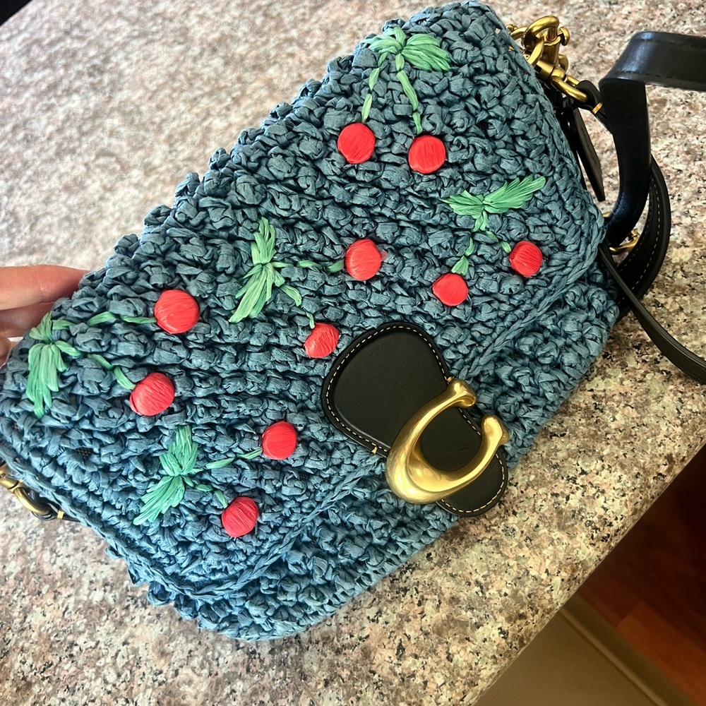 Coach Blue and Red Crossbody Bag with Textured Design